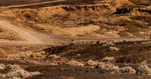 欧冠-劳塔罗、弗拉泰西建功 国米客场2-1力克拜仁 [欧冠国米]