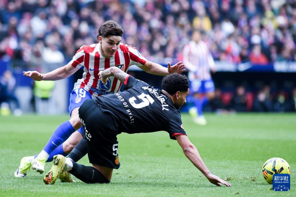 浙江队表现稳定